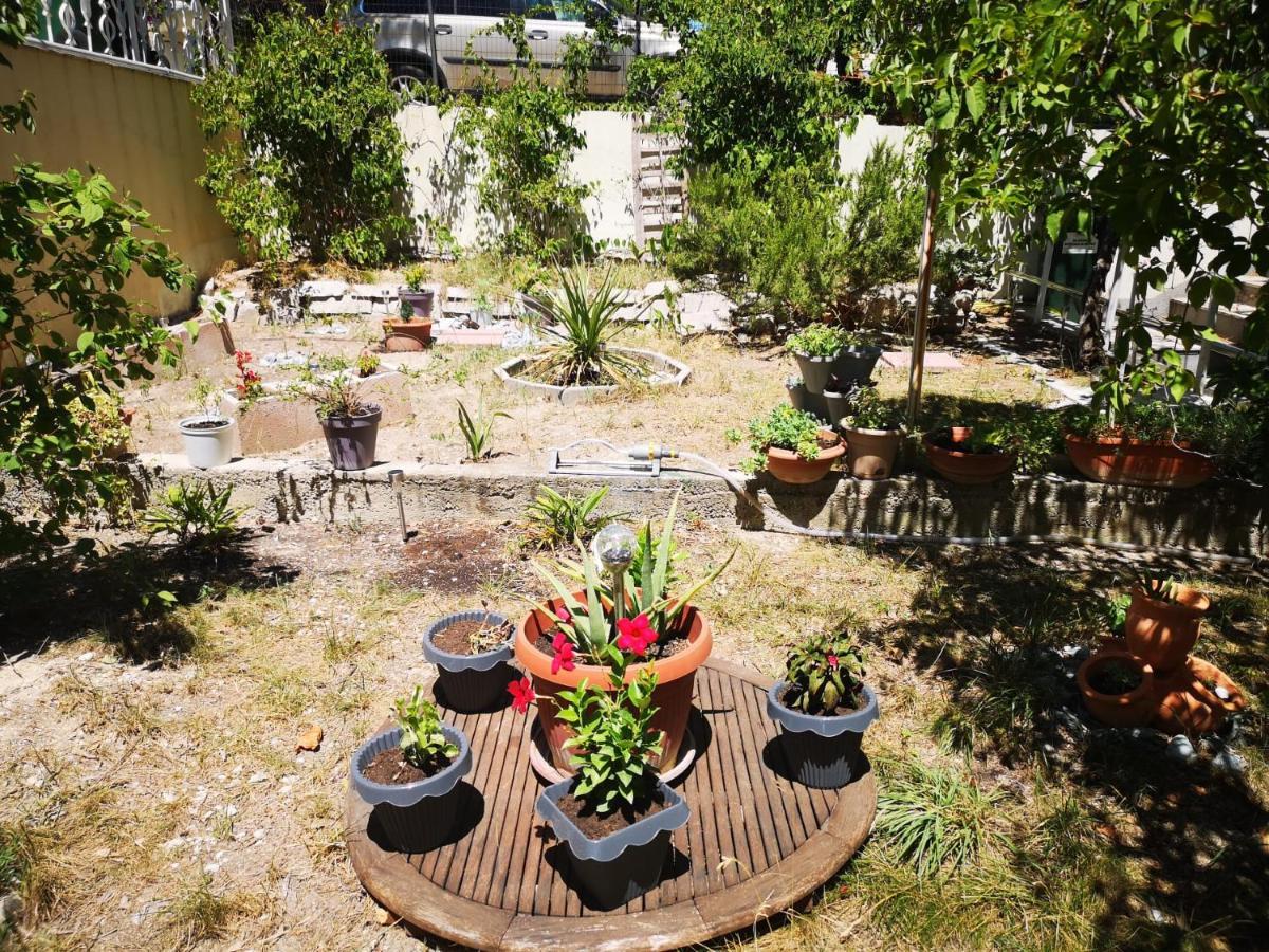 Apartament Ella Split